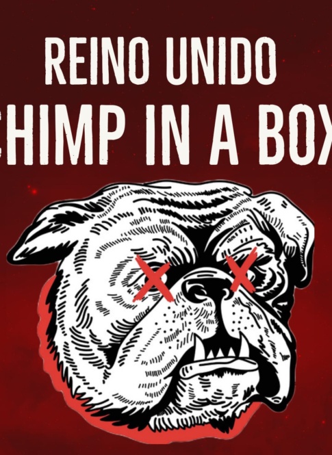 Chimp In A Box Nota Rockear