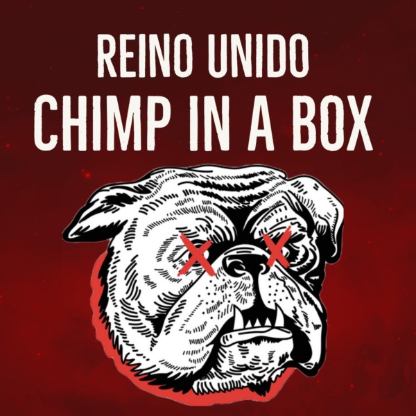 Chimp In A Box Nota Rockear