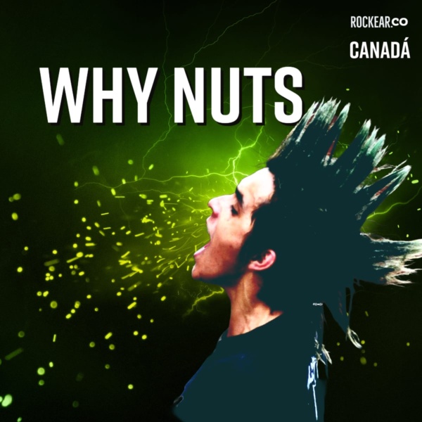 Why Nuts Nota Rockear.Co