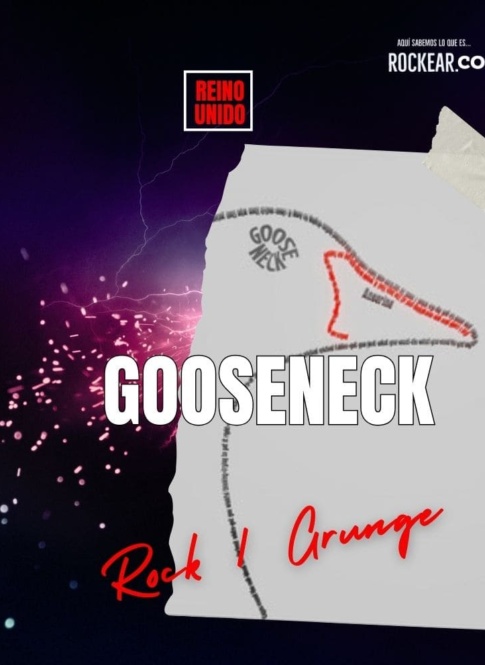 Nota Submithub Rockear.Co Gooseneck