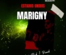 Marigny desciende a la oscuridad de “The Still” con rock gótico y post-punk desde Brooklyn