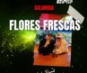 Flores Frescas debuta con “Me Perdiste BB”: guitarras sucias y garage punk hecho en Colombia